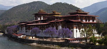 Image Here